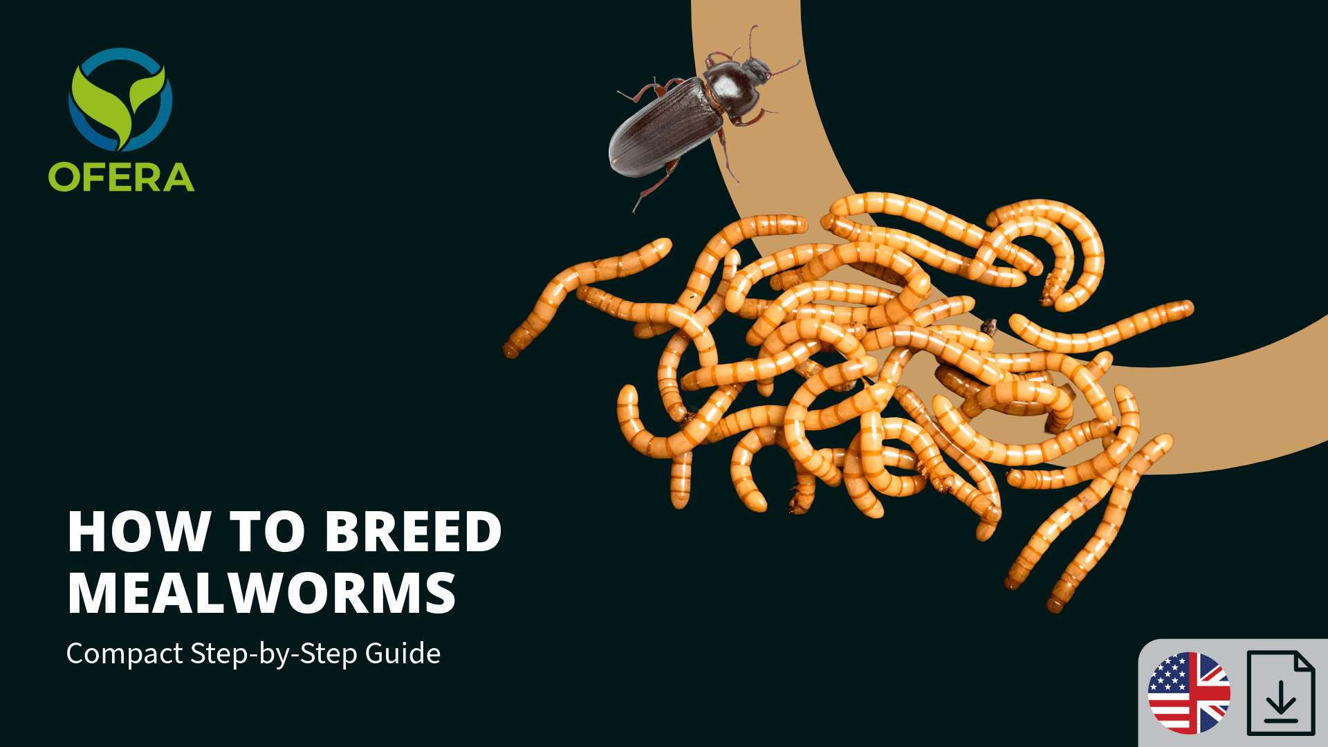 Product image for Breeding Mealworms - Step-by-Step Starter Guide